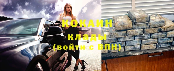прущие грибы Абинск