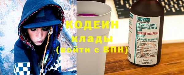 прущие грибы Абинск