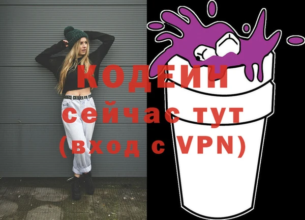 прущие грибы Рославль