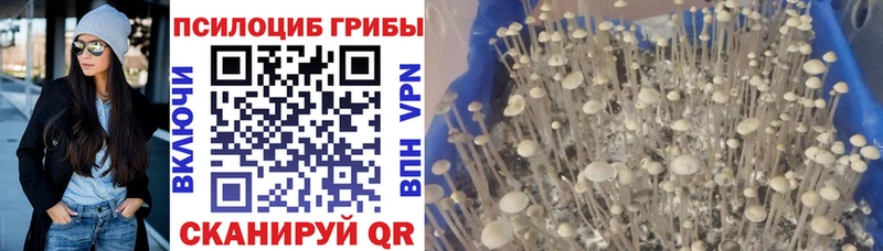Псилоцибиновые грибы ЛСД Дубна
