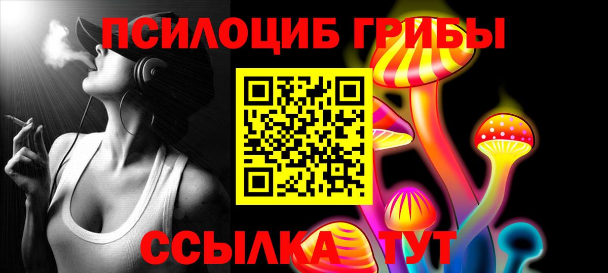 Галлюциногенные грибы Psilocybe Дубна